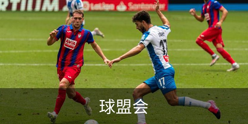 球盟会概况